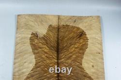 5A Birdseye Golden Camphor Wood Burl Electric Bass Drop Top Set Luthier 7728