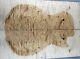 7287 5a Barky Quilted Maple Wood Bookmatch Electric Guitar Drop Top Set Luthier