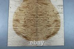 7287 5A Barky Quilted Maple Wood Bookmatch Electric Guitar Drop Top Set Luthier
