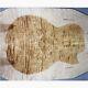 Aaaa Fugure Electric Guitar/bass Top Quilted Maple Bookmatched Wood Set Luthier