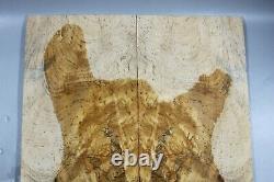 AAAA Spalted Curly Maple Wood Bookmatch les paul Guitar Top Set Luthier 7794