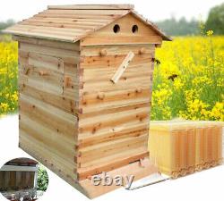 Auto Flow honey beehive set wooden beehive + 7x Flow frames Auto bee hive box