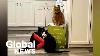 Cats Claim Vitamix Box As Their Fur Ever Home In Month Long Standoff With Owners