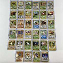 Complete WOTC Jungle Pokemon Card Set All 64/64 In Ultra Pro Top Loaders/Box