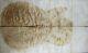 Quilted Maple Wood Electric Bass Bookmatch Drop Top Set Luthier 7756