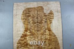 Quilted Spalted Maple Wood Bookmatch Electric Bass Drop Top Set Luthier