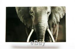 SÜDAFRIKA Set Big Five Elefant Silber PP inkl. Box und Zertifikat 2019 TOP