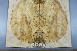 Spotted Birds-eye Maple Wood Bookmatch les paul Guitar Drop Top Set Luthier 7630